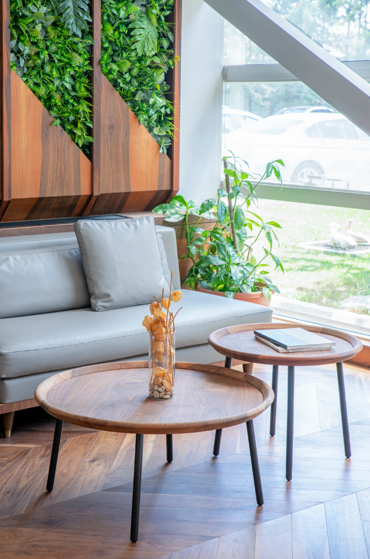 Bony Çorap Fabrikası